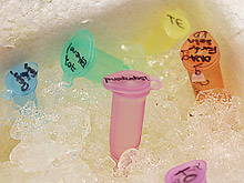 Test tubes in ice