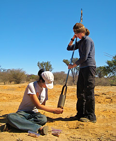 collecting root samples