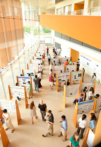 Summer MoBio posters in Icahn