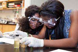 PUPP Proctor + Guillaume