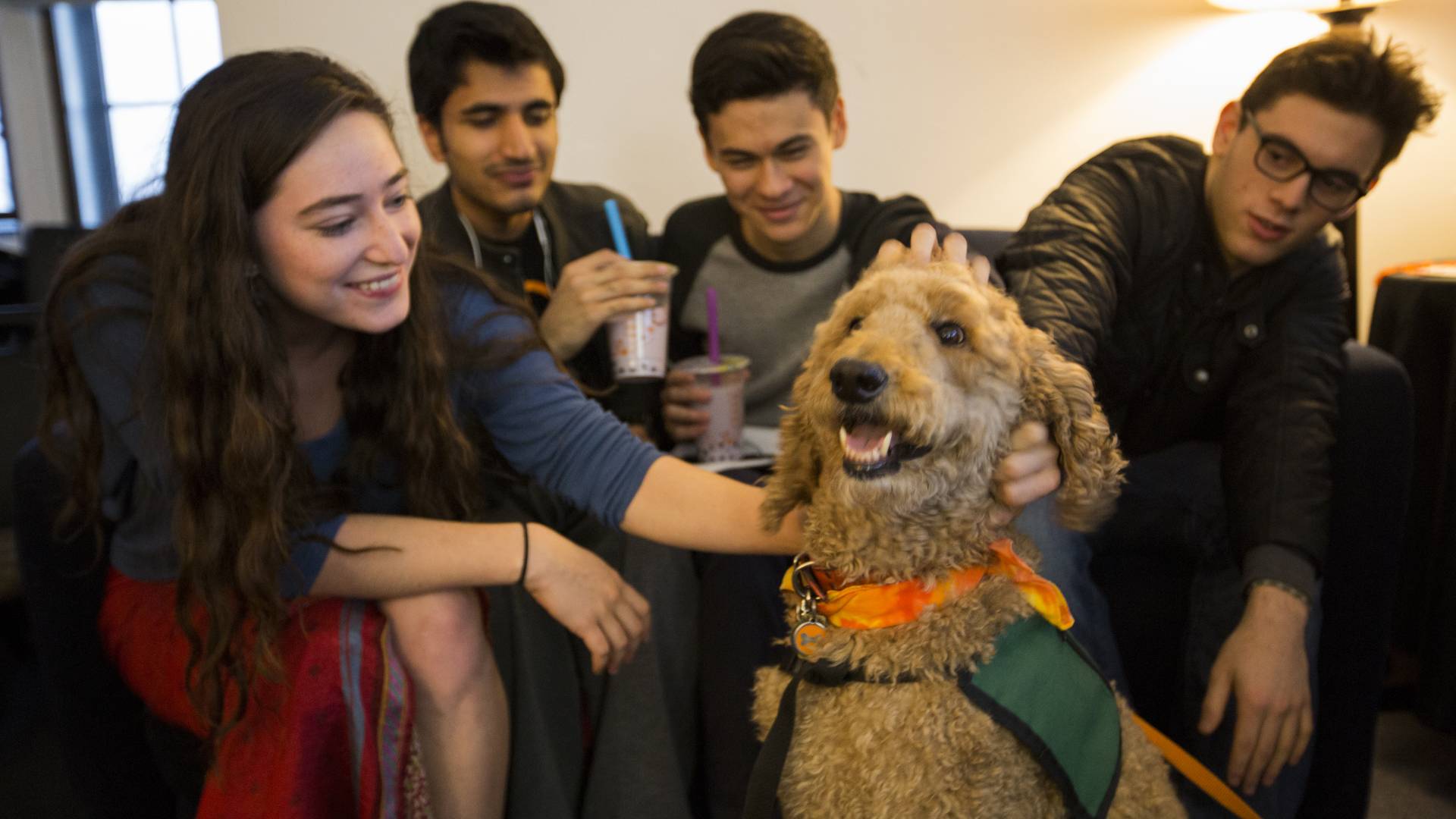 Students with therapy dog