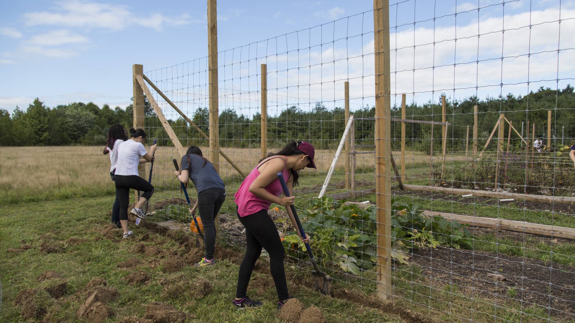 Students serving at the Farminary
