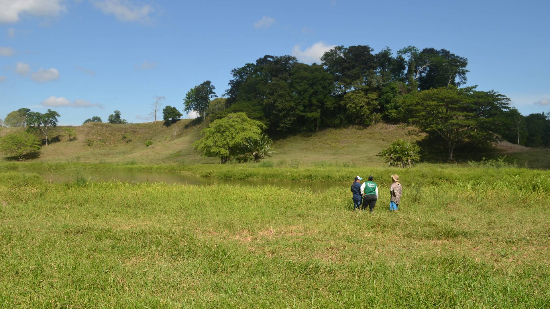 Three people standing in field