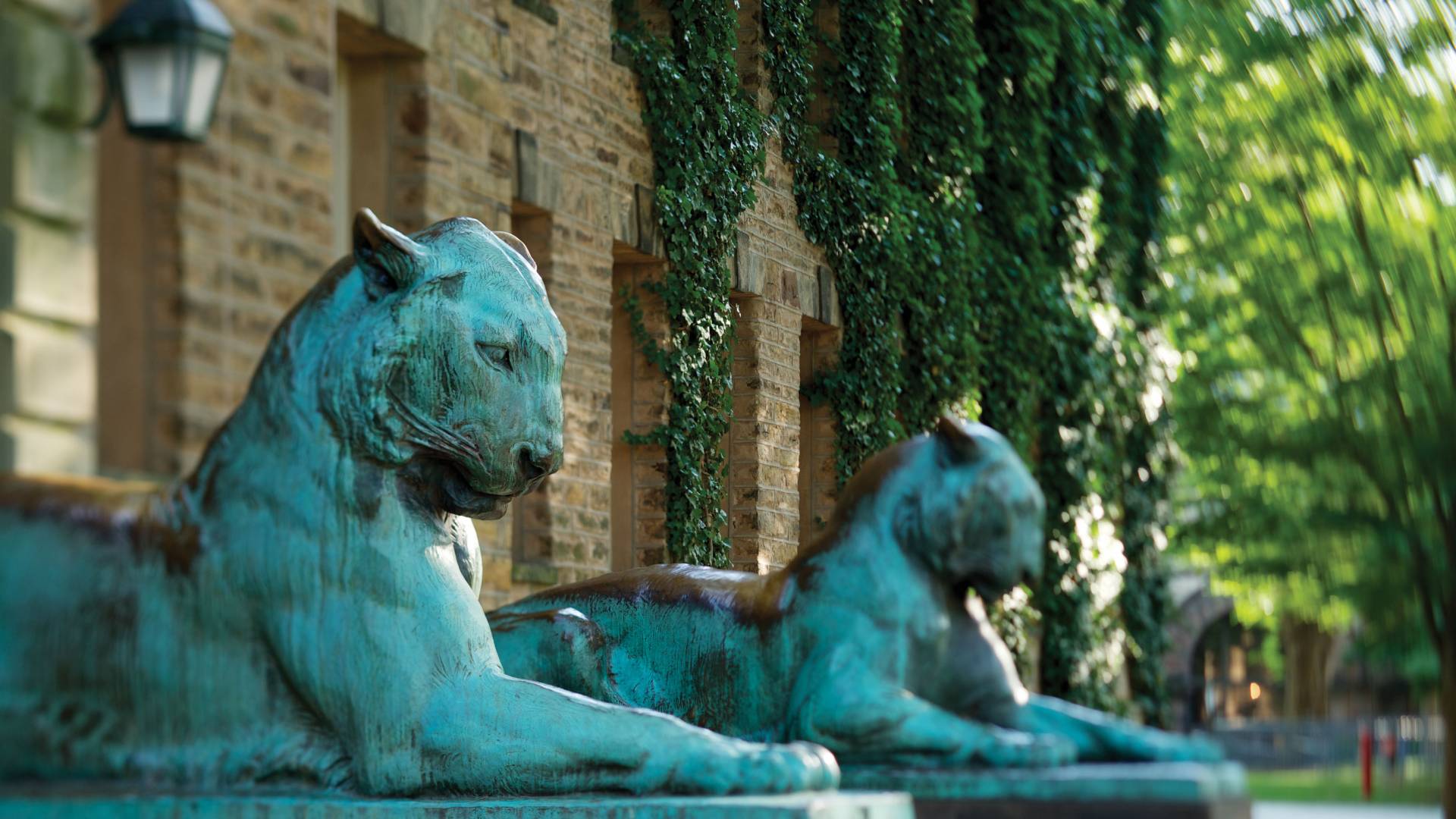 Nassau Hall and tiger sculptures