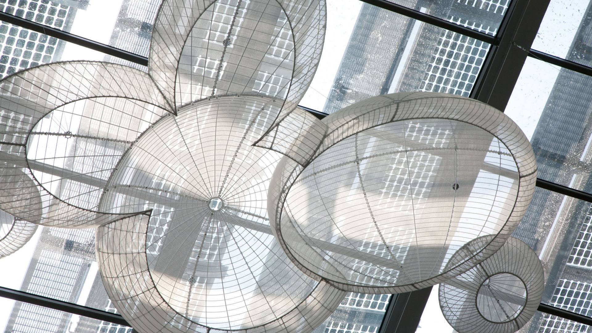 Sculpture installation in Frist