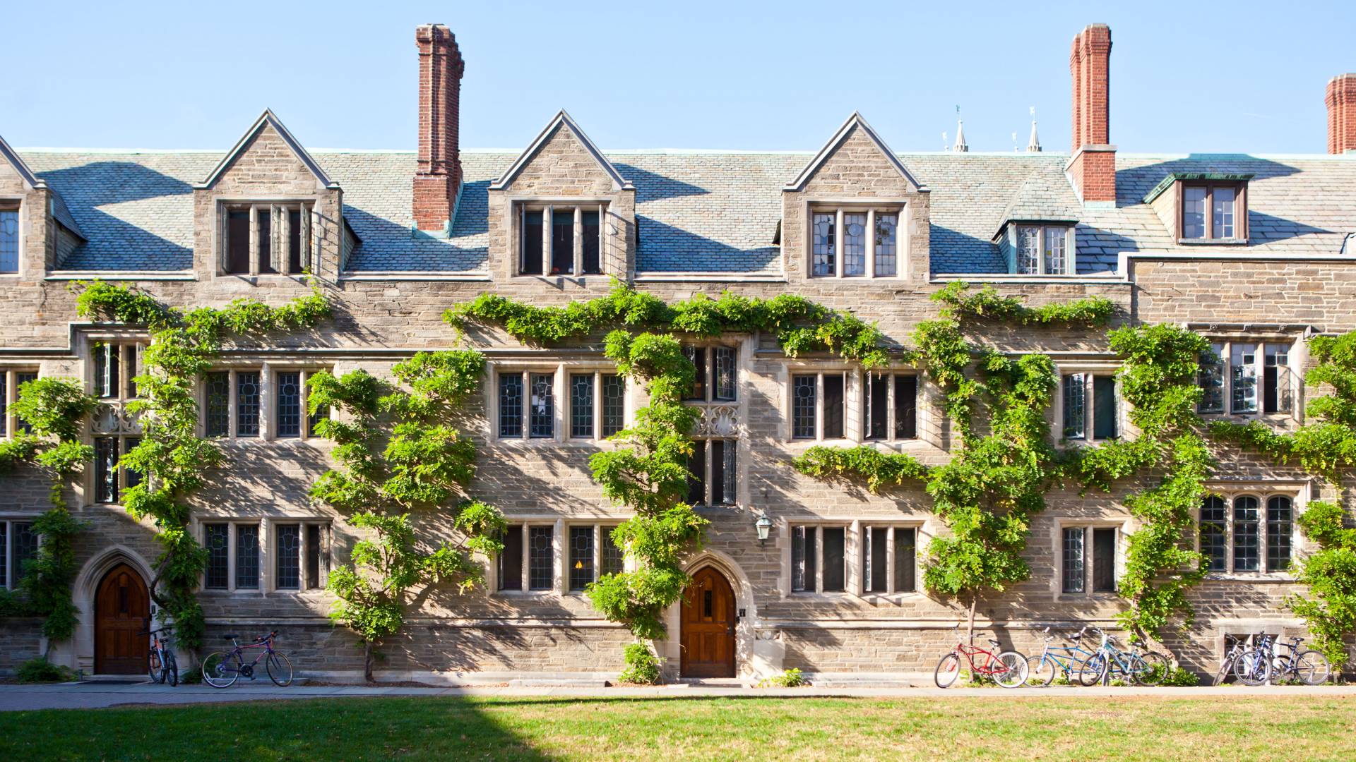 Dorms and ivy in the sun