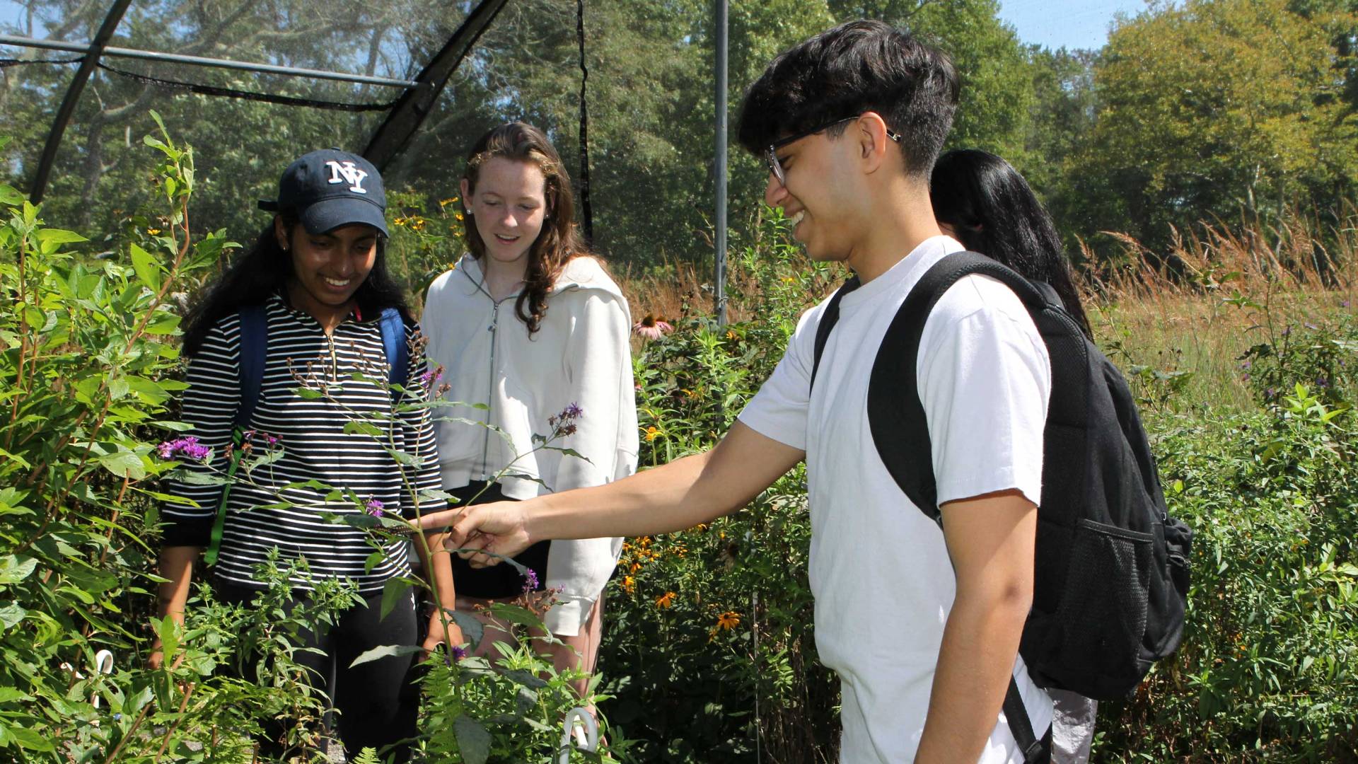 A group of students observe a butterfly