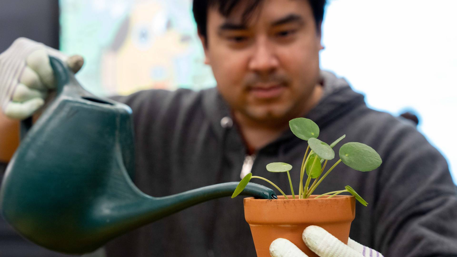 A person watering a plant.