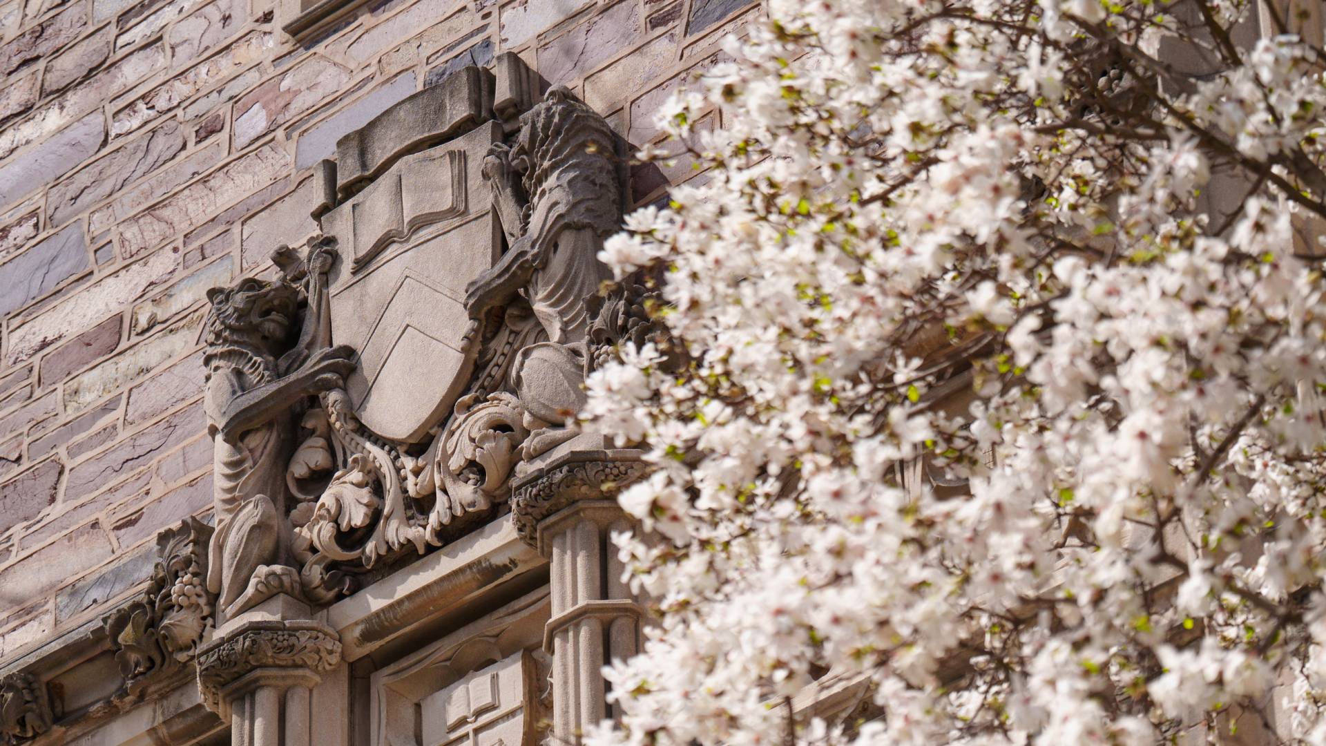 Bas relief of Princeton shield and tigers and magnolia flowers
