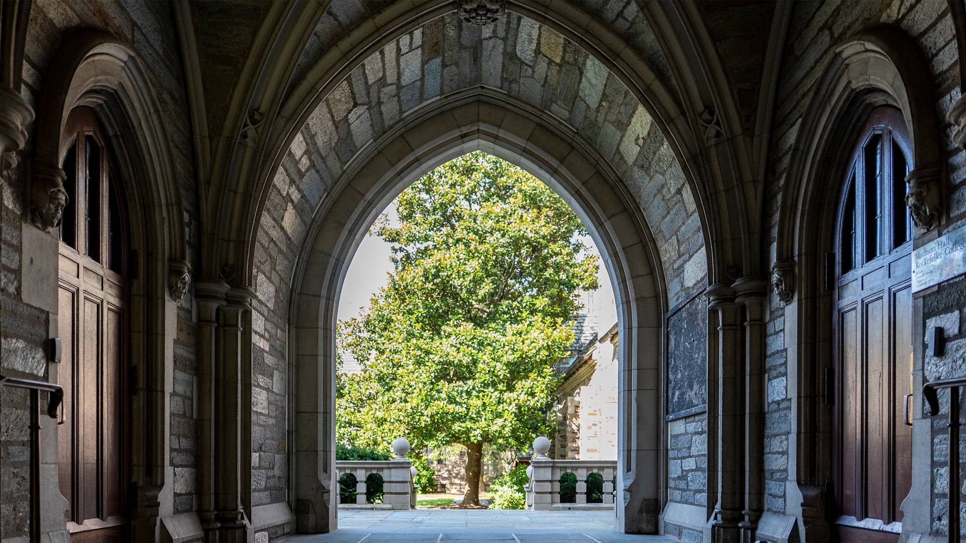 An archway with a tree