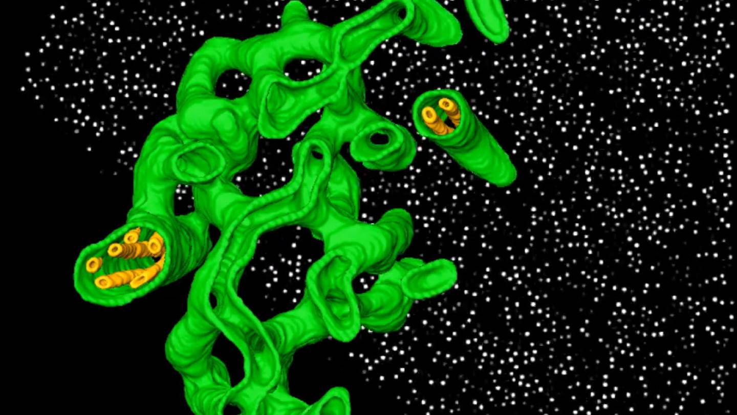 Cryo-Electron tomography-generated three-dimensional architecture of the pyrenoid