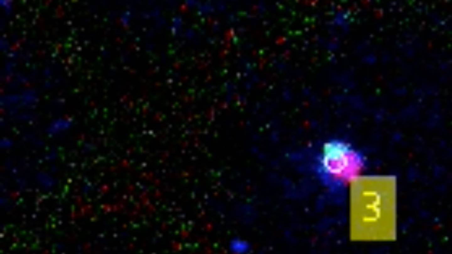 How "junk" DNA turns on gene