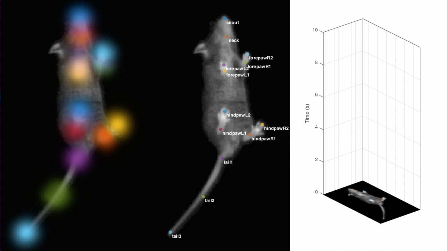 Tracking mouse movement