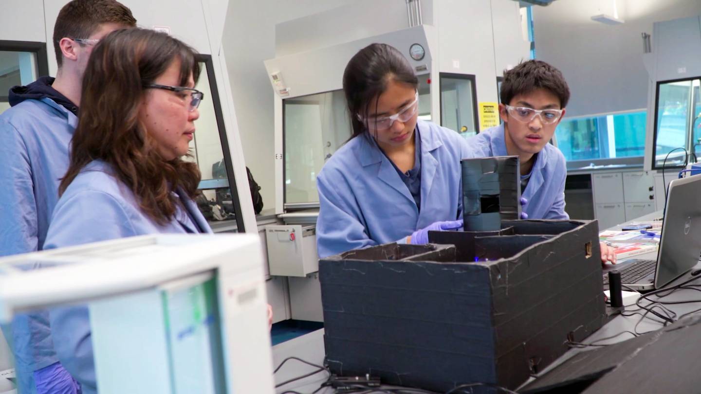 Students working in lab