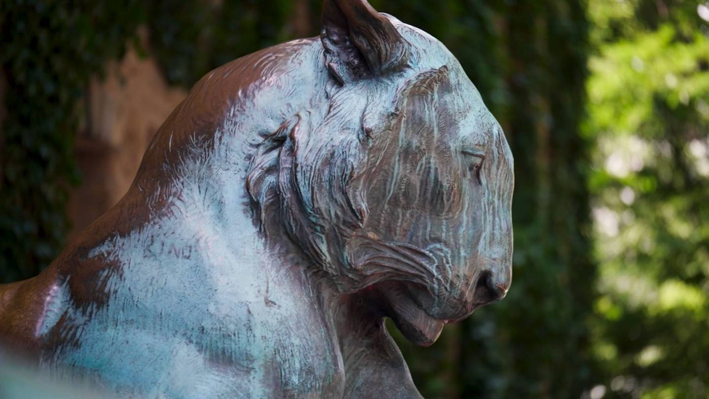 Lianne Sullivan Crowley and Christopher Eisgruber congratulate employees for service; select employees speak about their experiences working for Princeton 