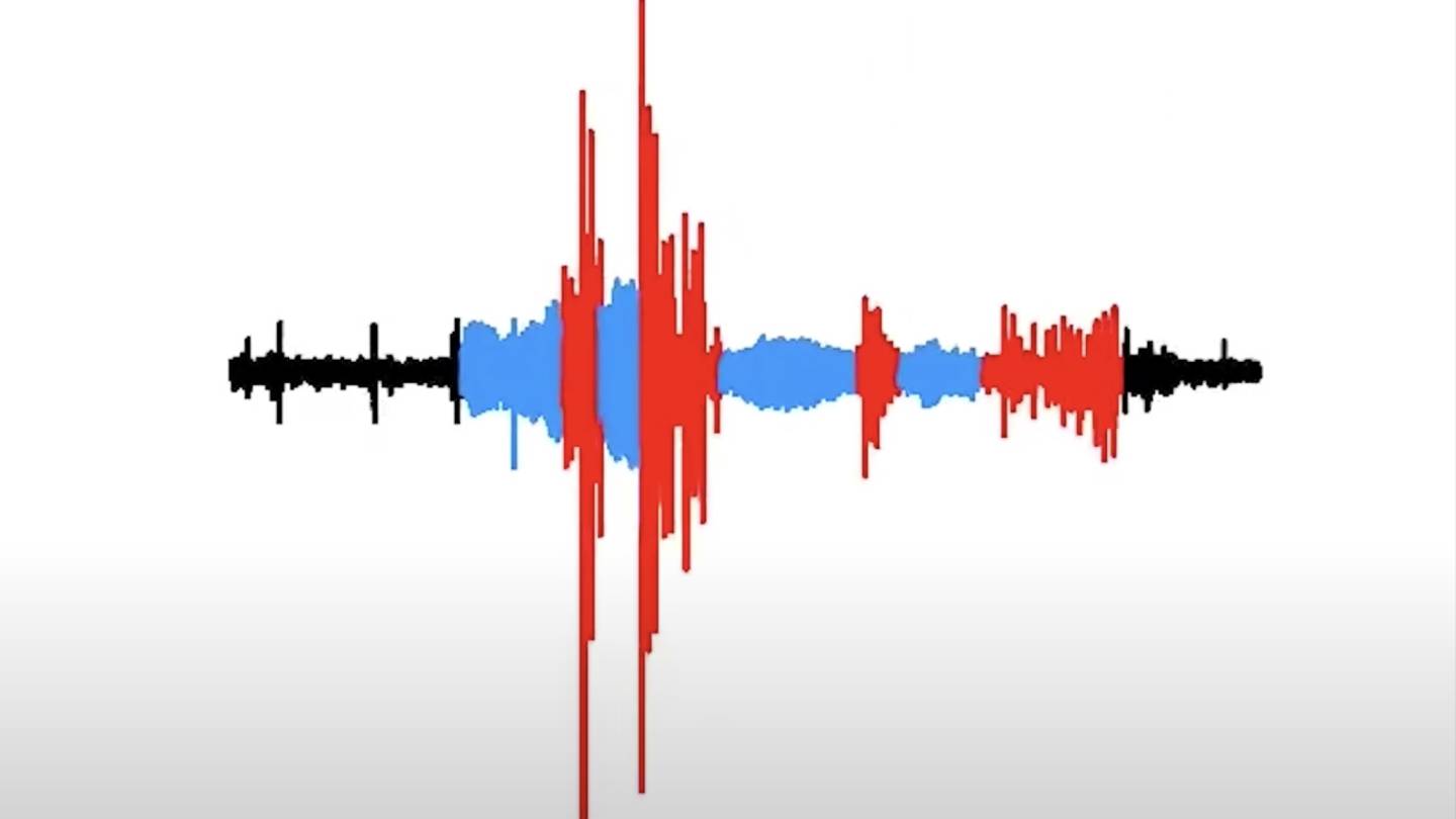 Visual representation of the sounds produced by a serenading male fruit fly