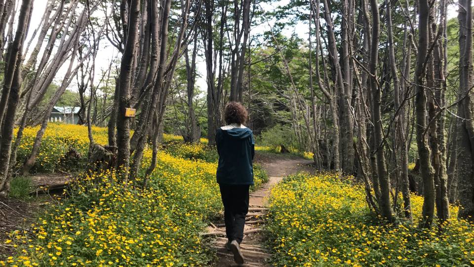 Kyle Berlin walking in the woods in Ushuaia, Argentina