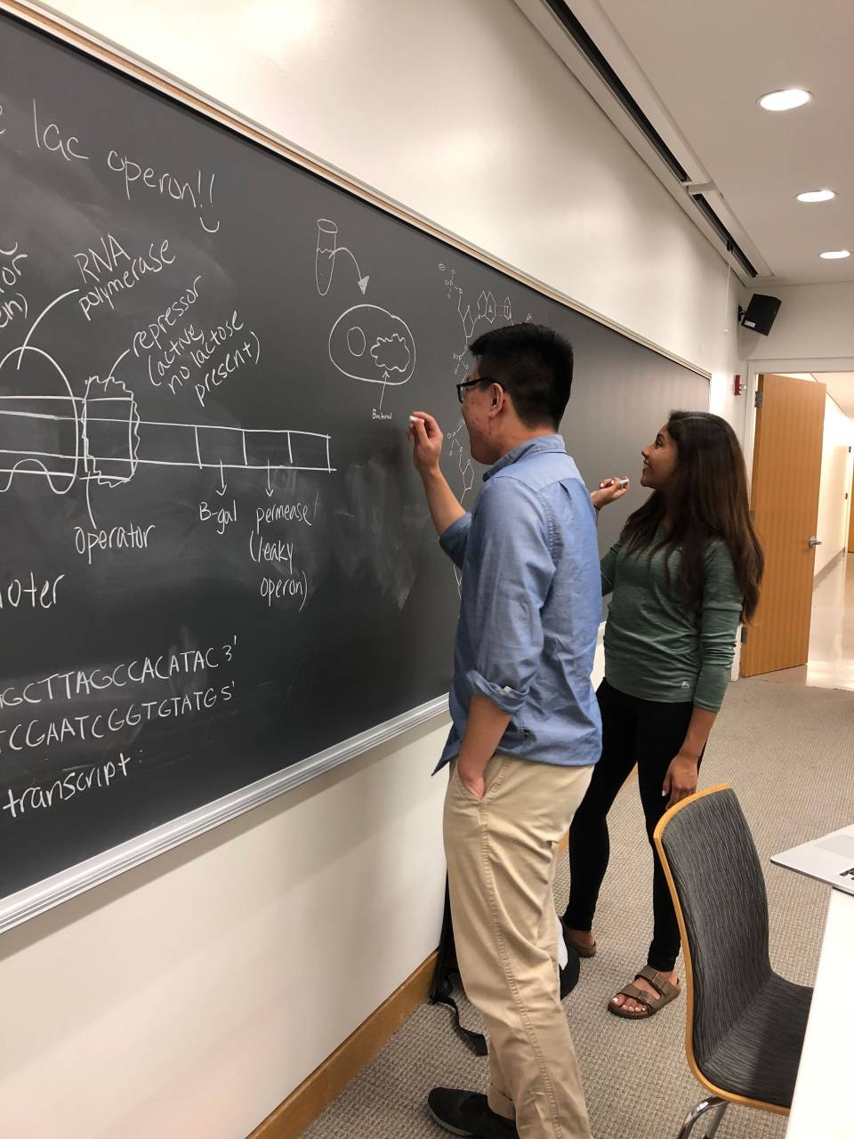 Winston Lie and Fernanda Fernandez writing on blackboard