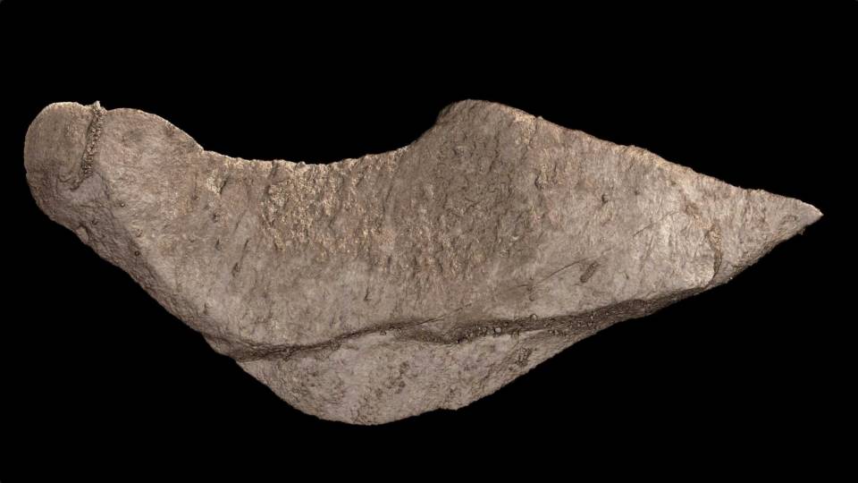 a tool-shaped rock from&nbsp;a cave at the Rising Star site