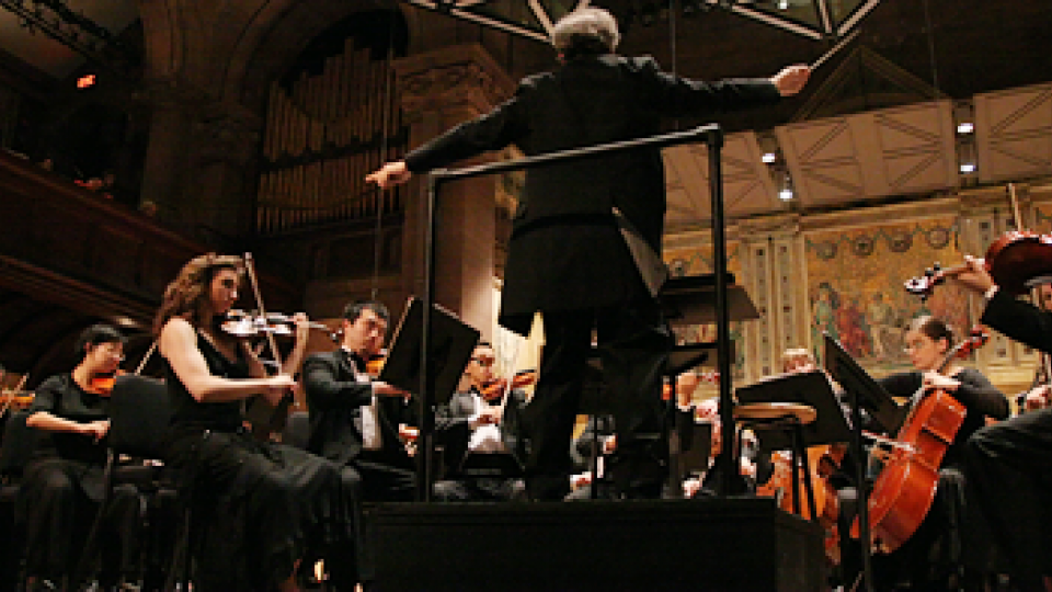 Orchestra
