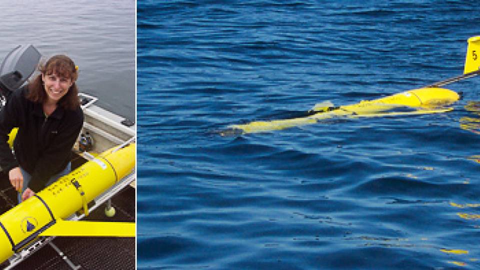 Naomi Leonard and glider hp