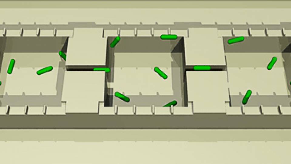 microscopic chambers