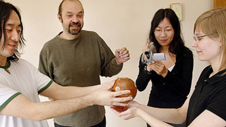 Wang, Cook, Ma and Fiebrink