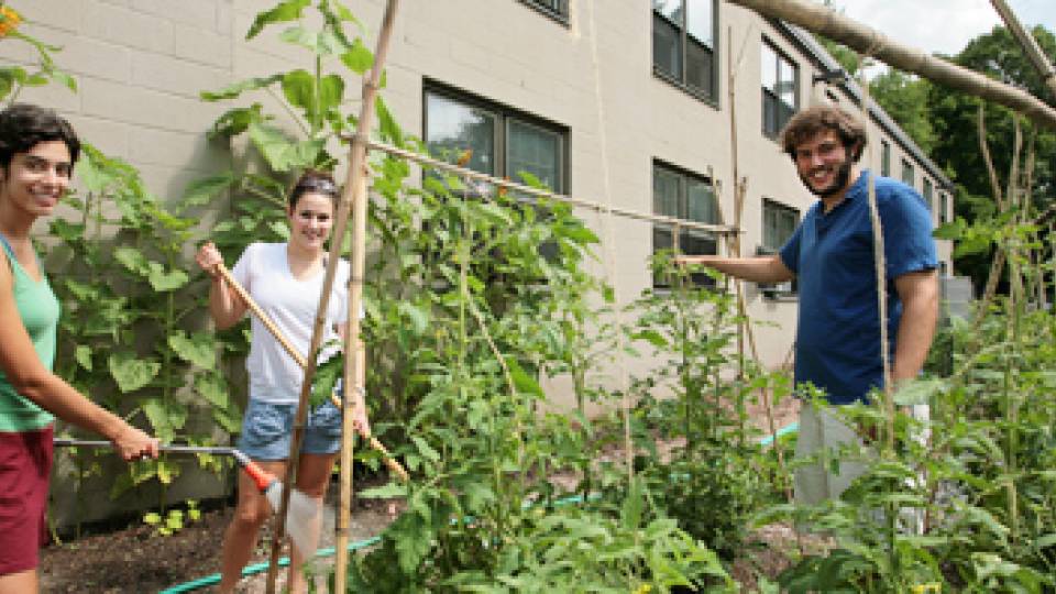 Schwab, Bonaccorsi and Elga tend the garden