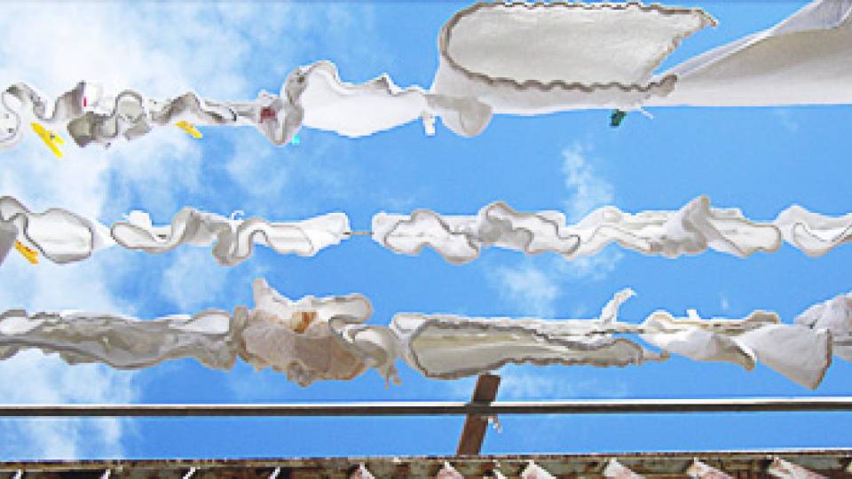 The Intimates: Connected by the Line