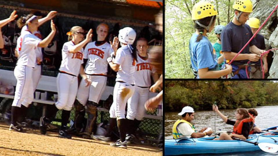 Princeton Preview tryptich