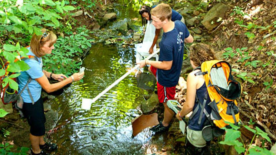 sustainability homepage