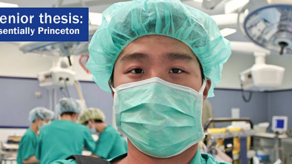 Sr Thesis Huynh home page