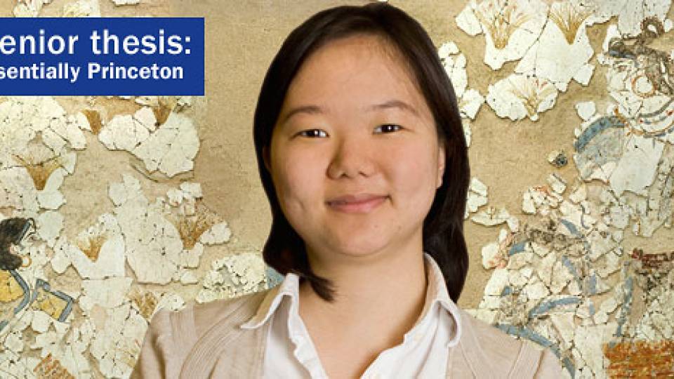 Sr Thesis Shin home page