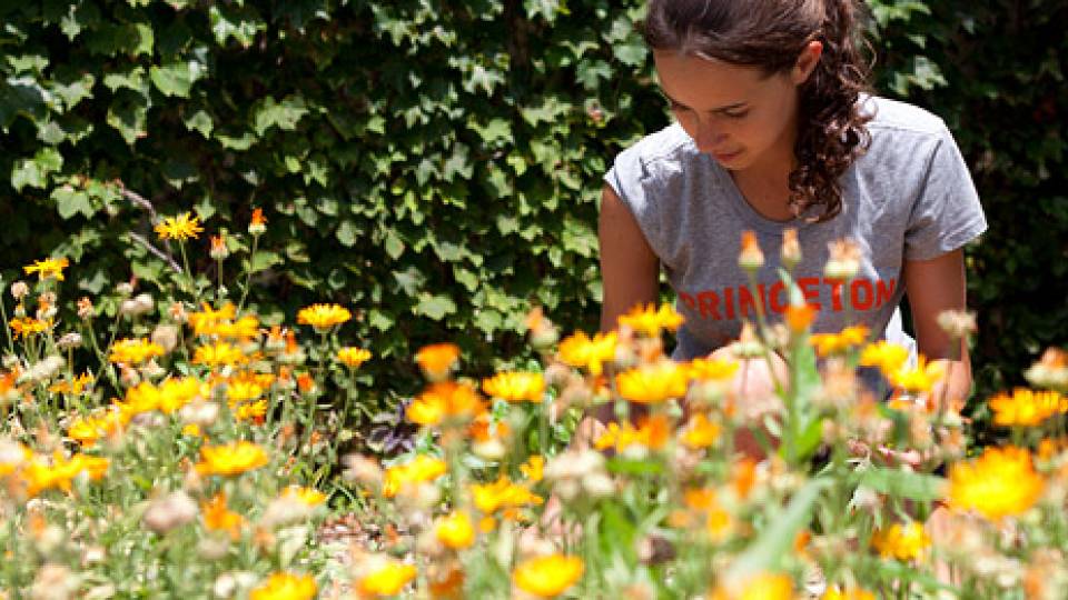 Sustainability round-up home page