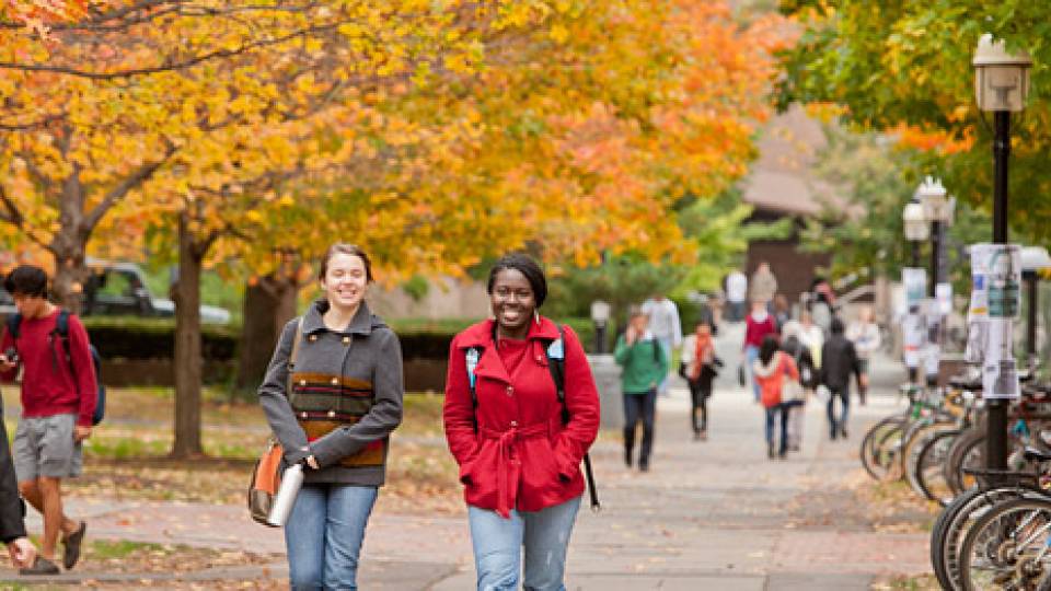 Fall colors home page