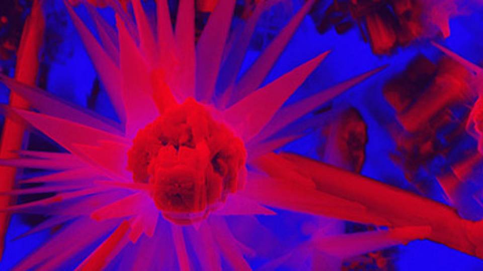 Art of Science home page