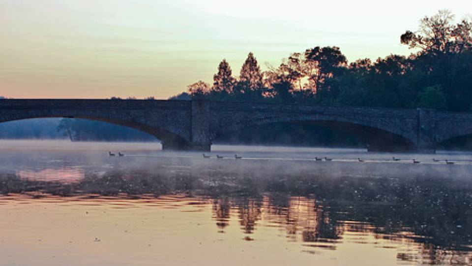 Early Morning home page