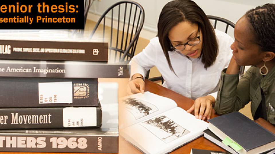 Senior Thesis prison reform homepage