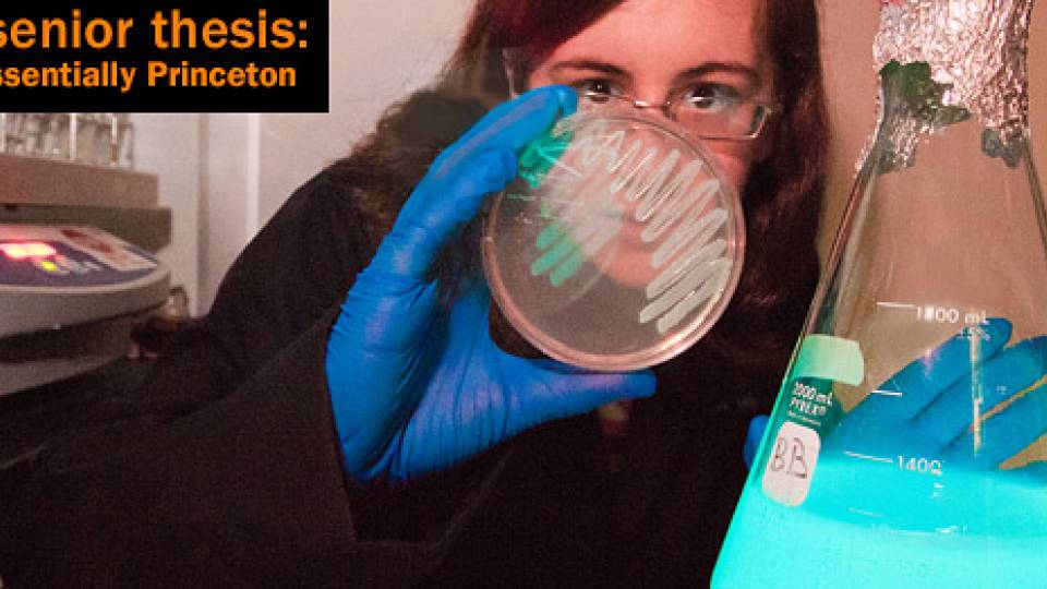 Sr Thesis science homepage