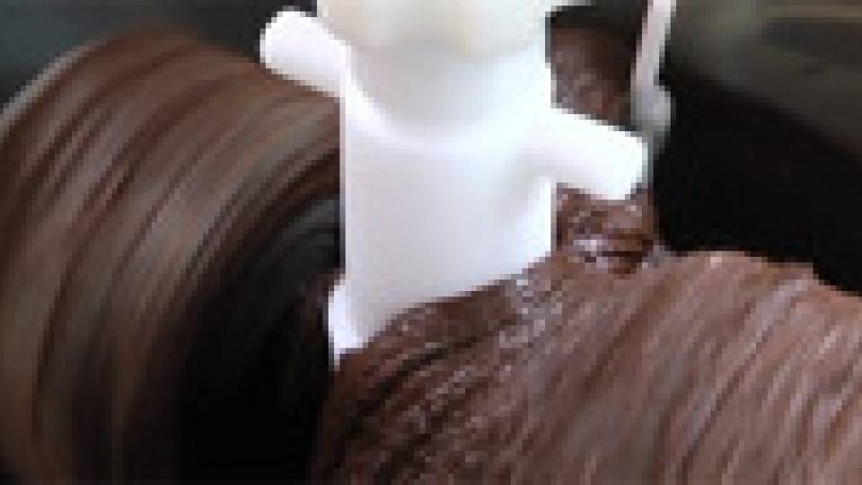 Chocolate Studies multimedia