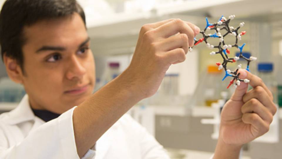 Lab Learning homepage