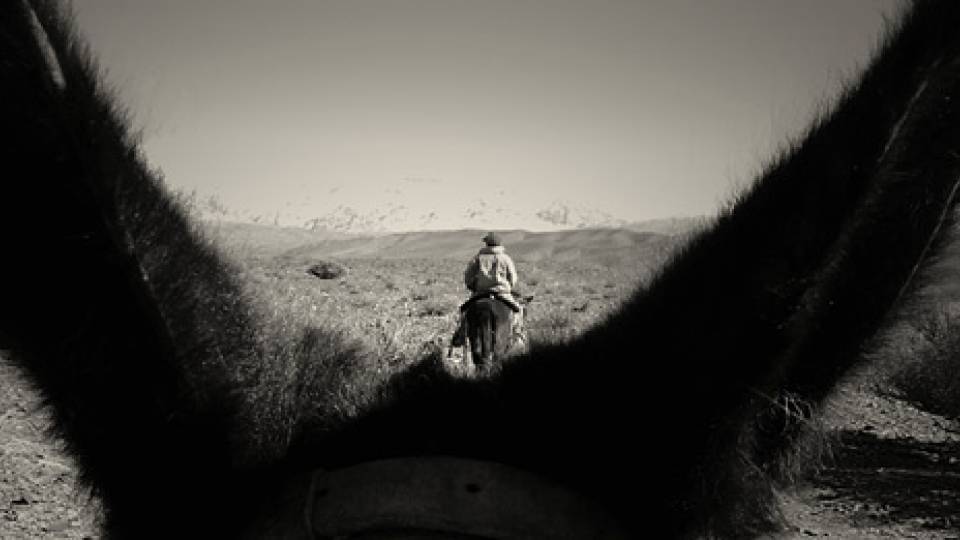 International Eye homepage