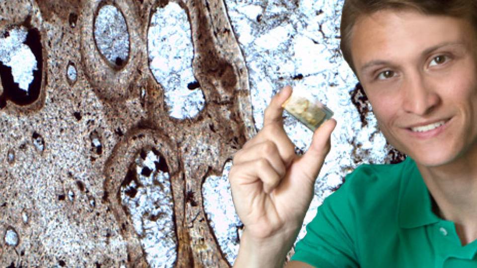 Senior Thesis Dinosaurs - homepage