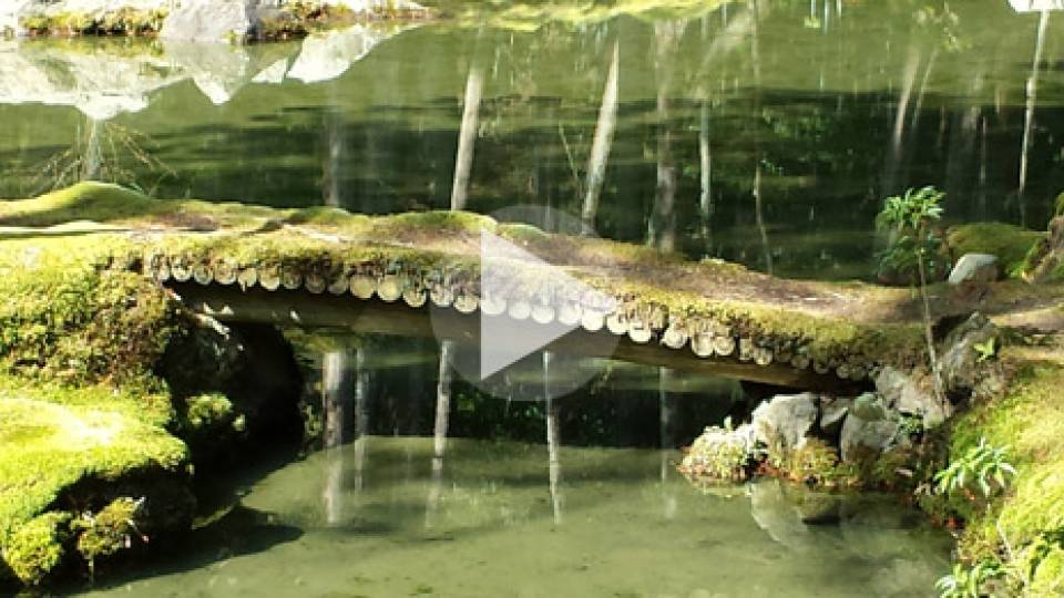 Kyoto Gardens homepage visual