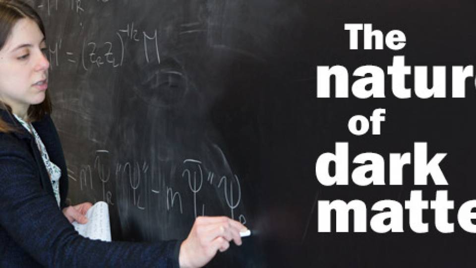 Mariangela Lisanti "The nature of dark matter"