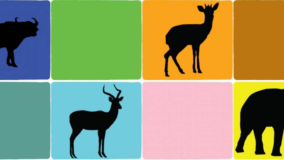 Pringle-Kartzinel DNA animation still