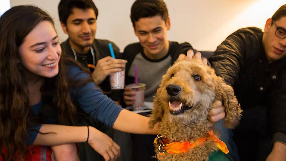Reading Period students with therapy dog Ben E.