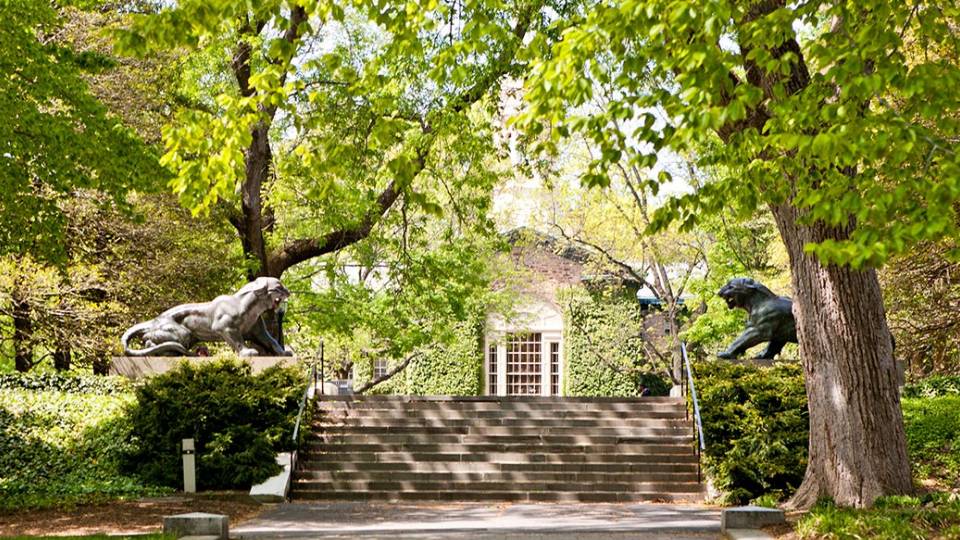 Summer Programs on campus tigers behind Nassau Hall