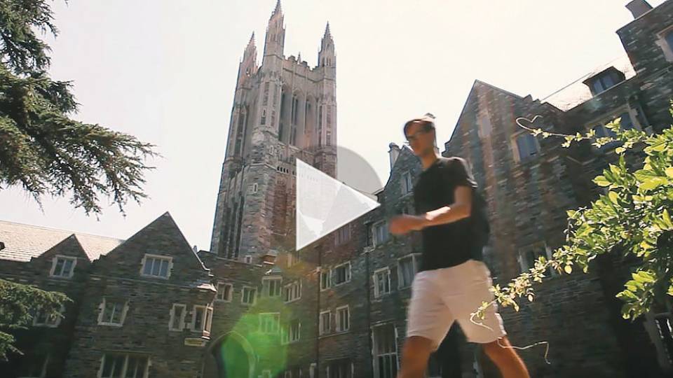 Summer scenes video_homepage 