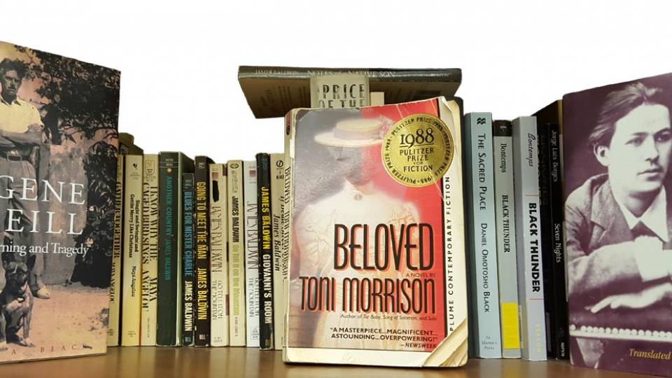 Faculty Bookshelves 2016